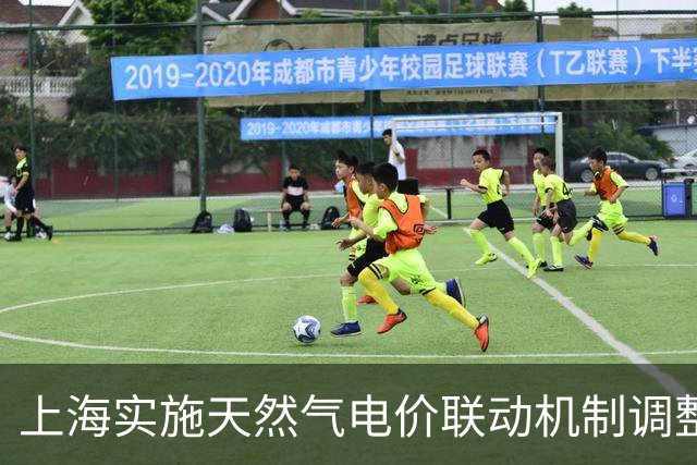 上海实施天然气电价联动机制调整政策