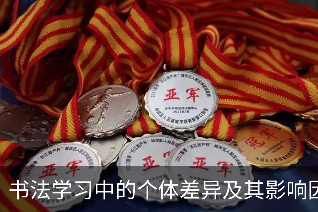 书法学习中的个体差异及其影响因素研究